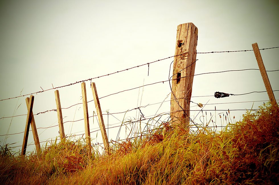 A Lorem ipsum dolor sit amet consectetur adipiscing elit metus at eleifend ultrices, mi augue pul...